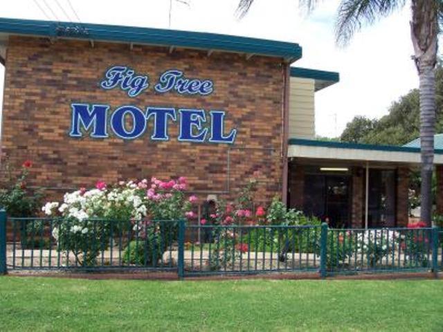 Fig Tree Motel Narrandera Exterior foto